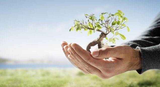 Responsibility towards the environment and the society